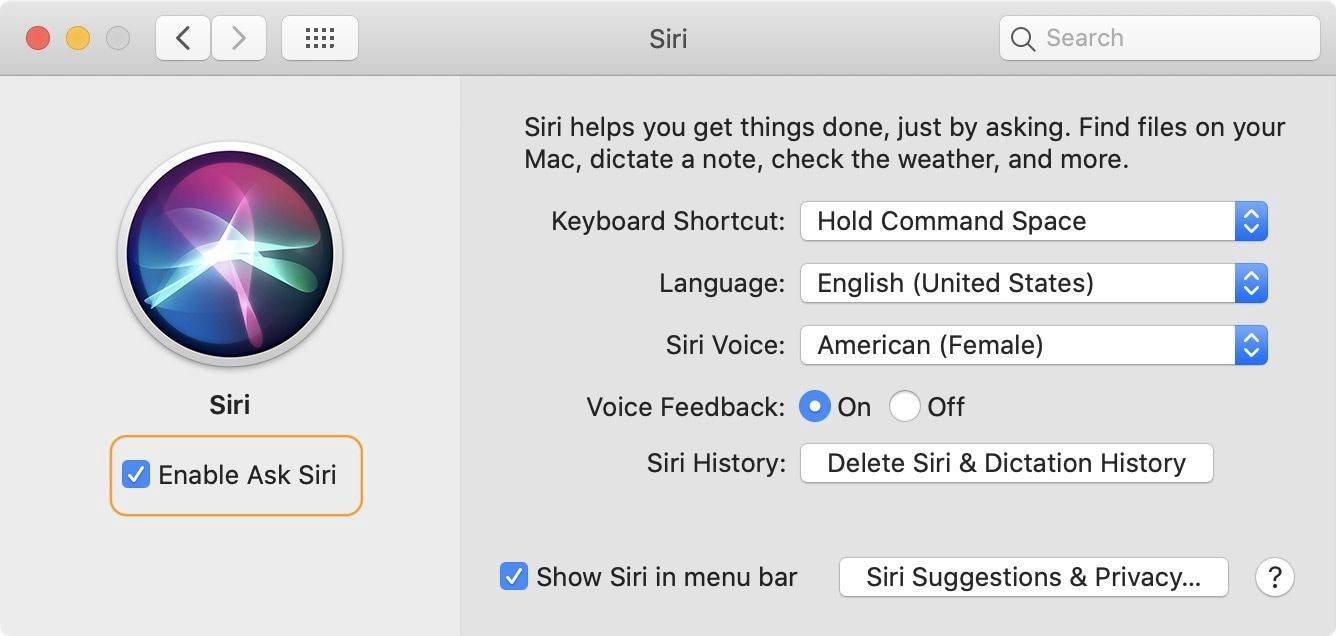 如何在iPhone 12,iPad和Mac上关闭Siri 如何在iPhone 12,iPad和Mac上关闭Siri