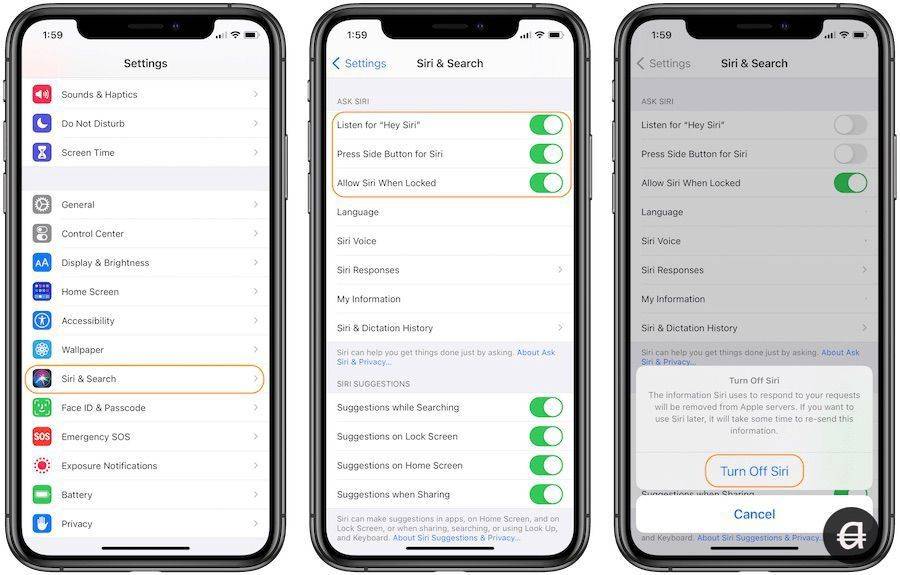 如何在iPhone 12,iPad和Mac上关闭Siri 如何在iPhone 12,iPad和Mac上关闭Siri