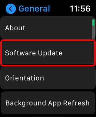 check-software-update-apple-watch