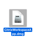 citrix-0