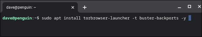如何在 Chromebook 上安装 Tor 浏览器