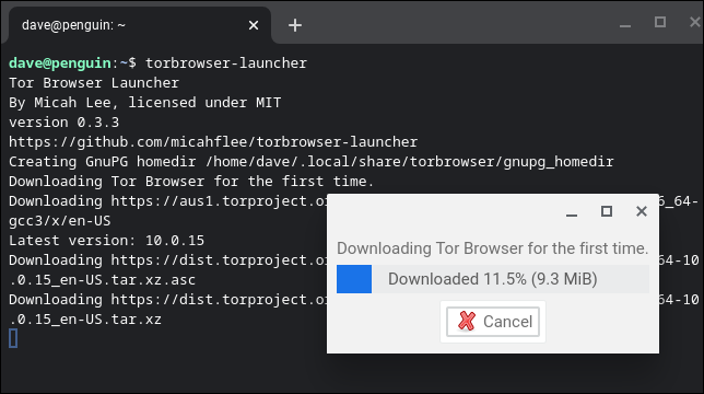 如何在 Chromebook 上安装 Tor 浏览器