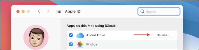 如何在 Mac 上禁用桌面和文档文件夹的 iCloud 同步 如何在 Mac 上禁用桌面和文档文件夹的 iCloud 同步