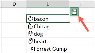 InsertDataIcon-Excel