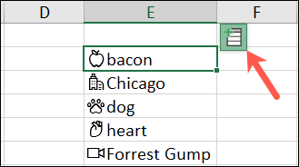 如何在 Microsoft Excel 中使用自动数据类型工具
