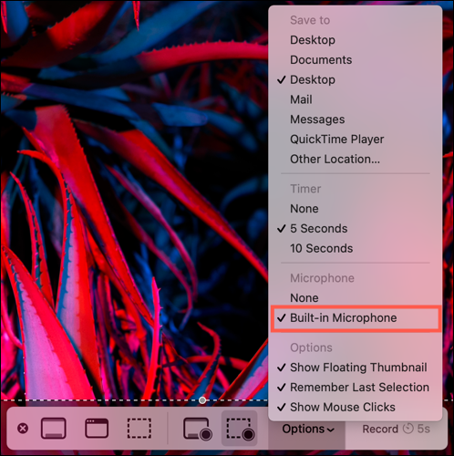 ScreenRecordUseMicrophone-Mac
