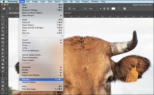 Screenshot-2021-04-30-at-10.02.15