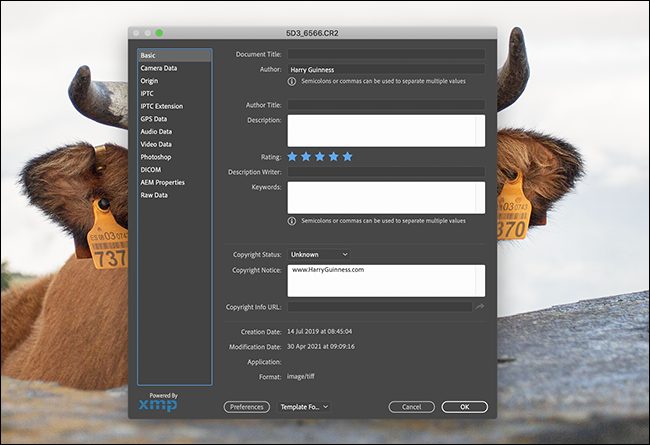 Screenshot-2021-04-30-at-10.03.45