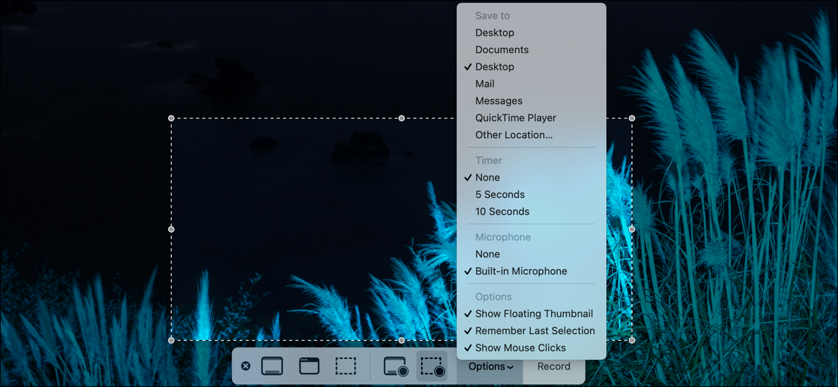 ScreenshotAppOnMac