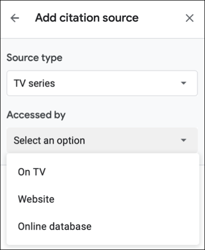 SelectAccessedBy-GoogleDocs
