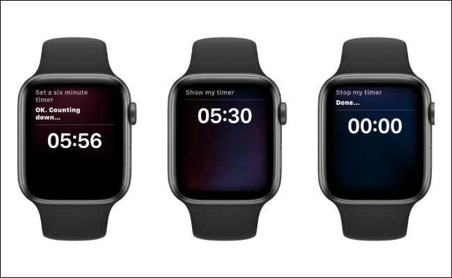 Using-Siri-To-Set-a-Timer-on-Apple-Watch