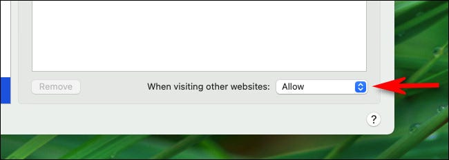 如何在 Mac 上的 Safari 中允许弹出窗口