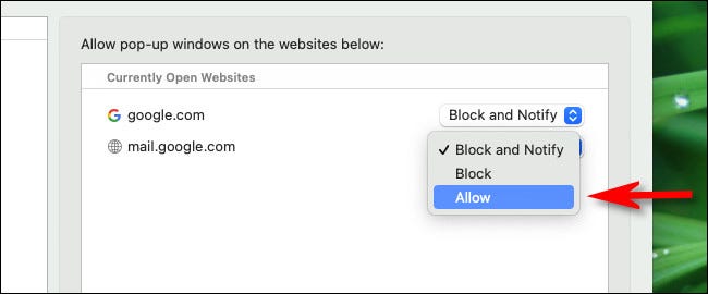 safari_drop_down_allow