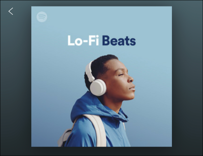 spotify-iphone-playlist