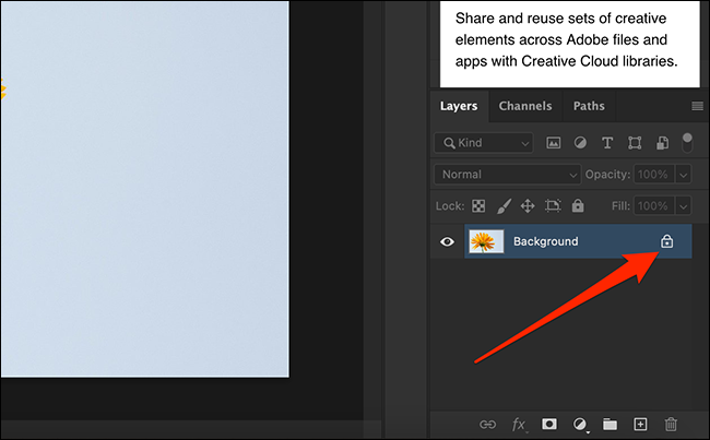如何在 Photoshop 中删除背景 如何在 Photoshop 中删除背景