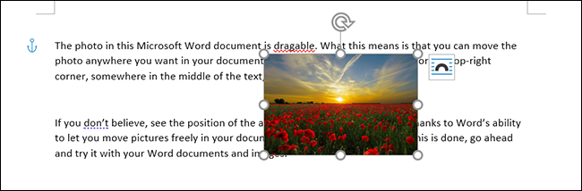 如何在 Microsoft Word 中自由移动图片
