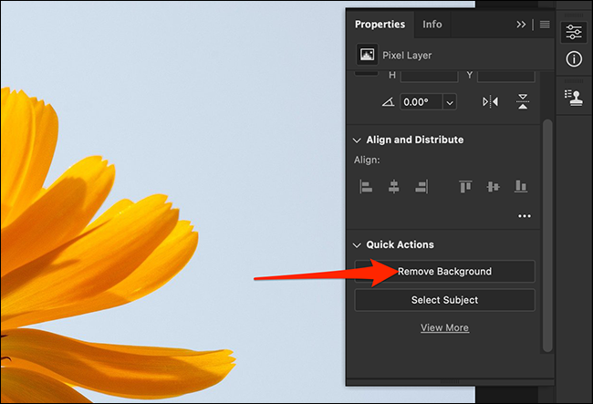 如何在 Photoshop 中删除背景 如何在 Photoshop 中删除背景