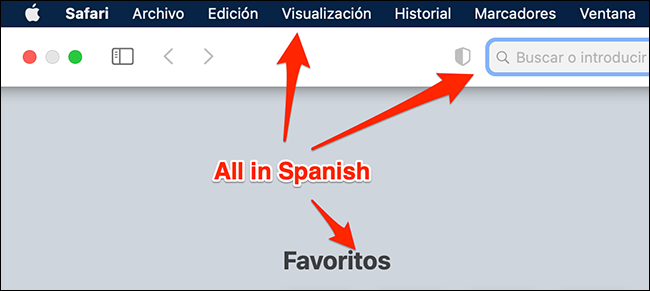 7-app-in-different-language