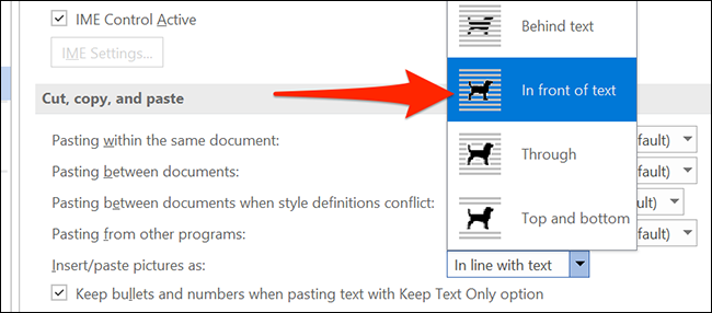 如何在 Microsoft Word 中自由移动图片 如何在 Microsoft Word 中自由移动图片