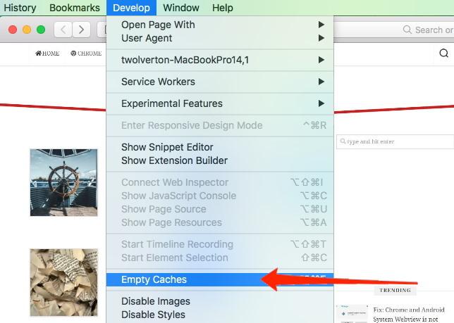 Empty-Cache-command-in-Safari-Developer-Menu