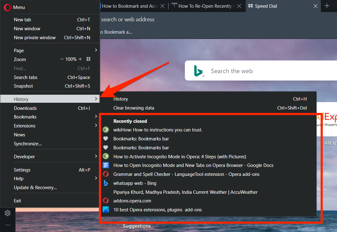 History_Menu_option_in_Opera_Browser