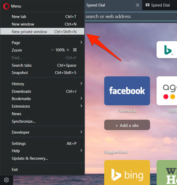 如何在 Opera 浏览器上打开私人窗口和新标签页？