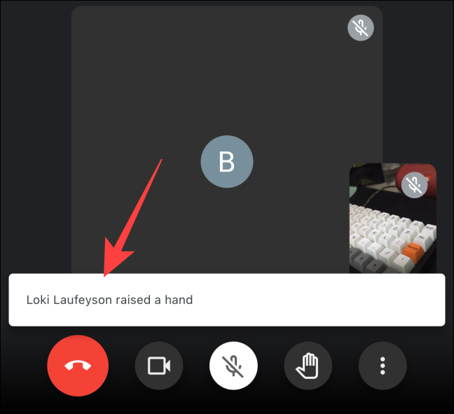 Every-participant-gets-notification-when-you-use-Raise-Hand-button