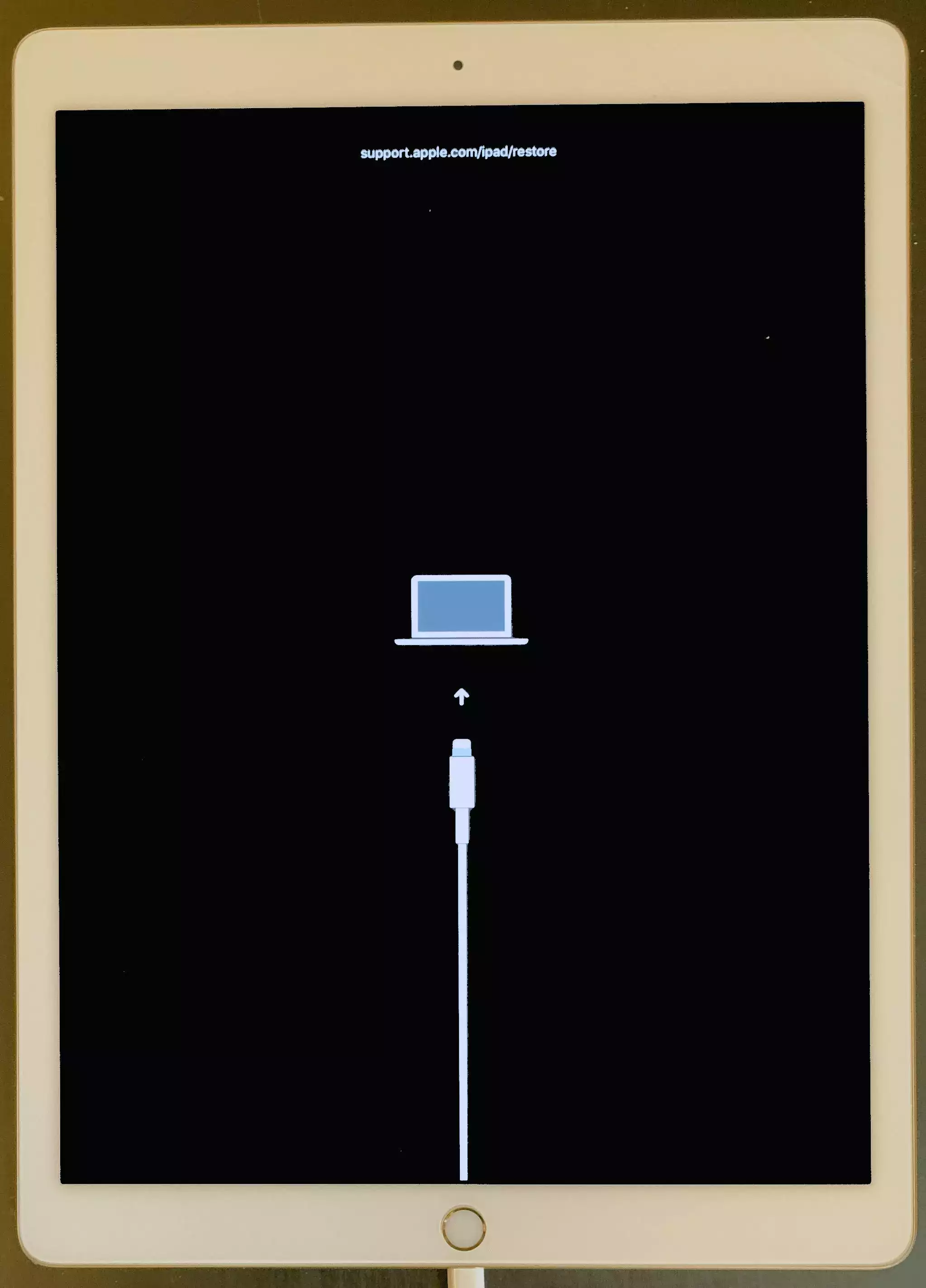 如何通过连接到 iTunes 或 Finder 修复已禁用的 iPad 如何通过连接到 iTunes 或 Finder 修复已禁用的 iPad