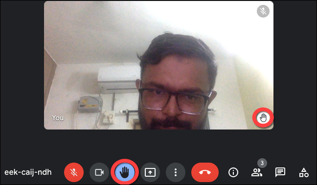 Raise-Hand-button-gets-activated-video-preview-gets-a-raise-hand-indicator