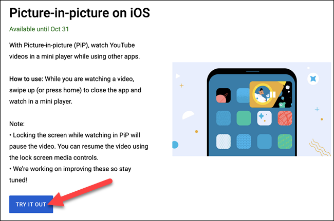 Screen-Shot-2021-08-25-at-9.15.35-AM