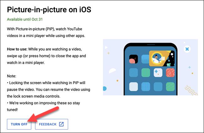 Screen-Shot-2021-08-25-at-9.16.35-AM