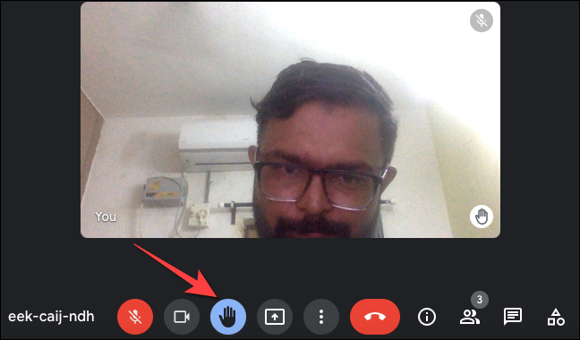 Select-Lower-Hand-Button-to-lower-the-hand