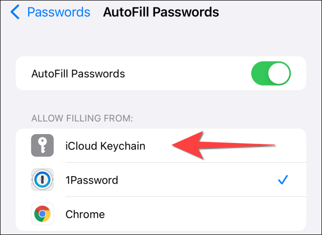 如何在 iPhone 和 iPad 上使用内置的两因素身份验证器 如何在 iPhone 和 iPad 上使用内置的两因素身份验证器