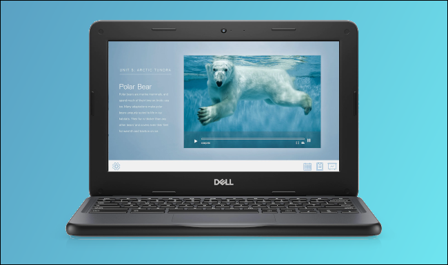 2021 年最适合学生和其他人的 Chromebook 2021 年最适合学生和其他人的 Chromebook