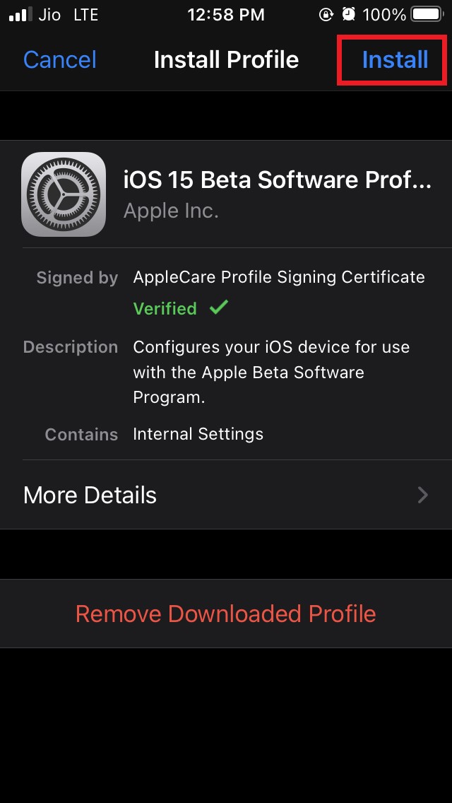 install-iOS-15-beta-profile