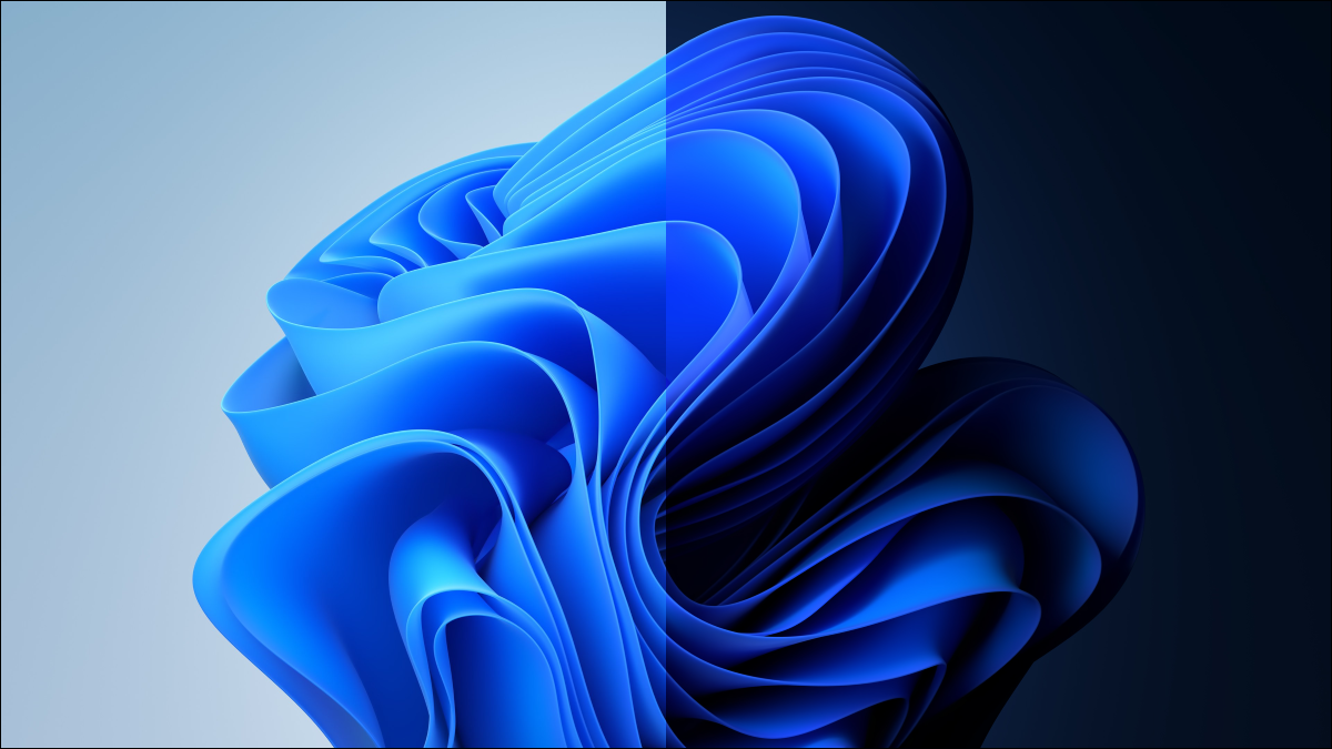 windows-11-light-and-dark-backgrounds