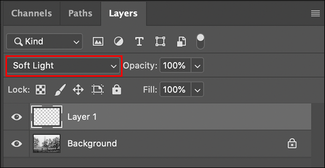如何在 Photoshop(或任何其他图像编辑器)中减淡和加深 如何在 Photoshop(或任何其他图像编辑器)中减淡和加深