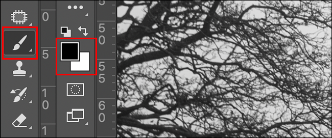 如何在 Photoshop(或任何其他图像编辑器)中减淡和加深 如何在 Photoshop(或任何其他图像编辑器)中减淡和加深