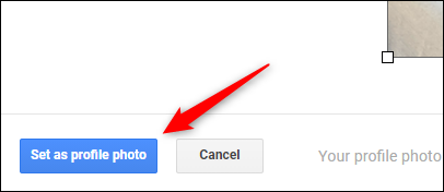 Click-the-Set-as-Profile-Photo-button.