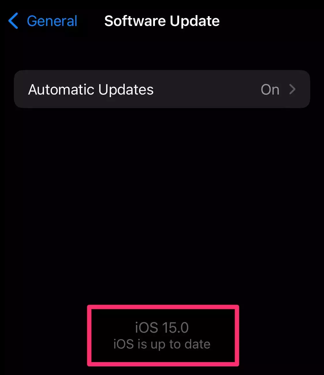 如何检查 iPhone 和 iPad 上的 iOS 或 iPadOS 版本 如何检查 iPhone 和 iPad 上的 iOS 或 iPadOS 版本