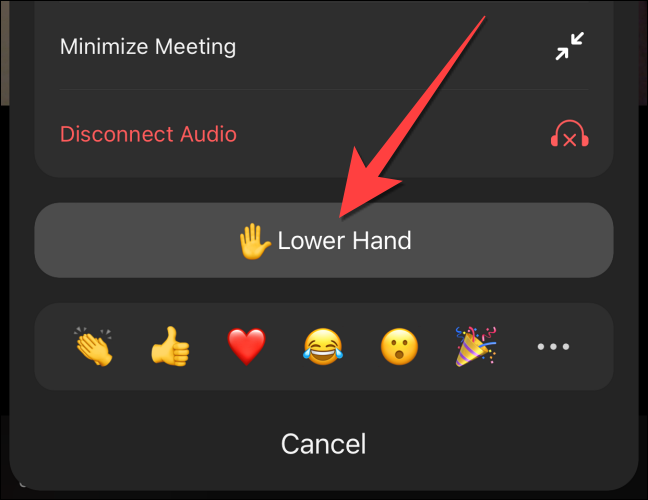 Select-lower-hand-option-in-zoom-mobile