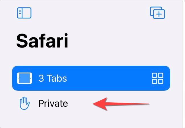 Tap-Private-Tab-Button-on-Sidebar-on-iPad