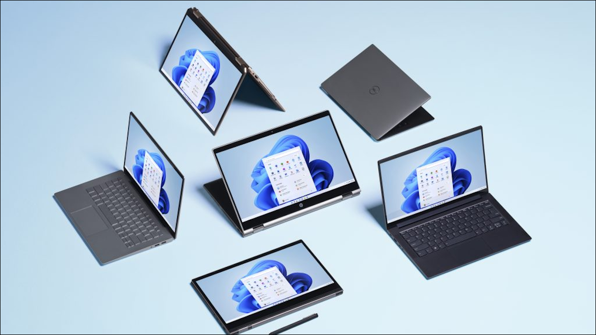 Windows-11-hero