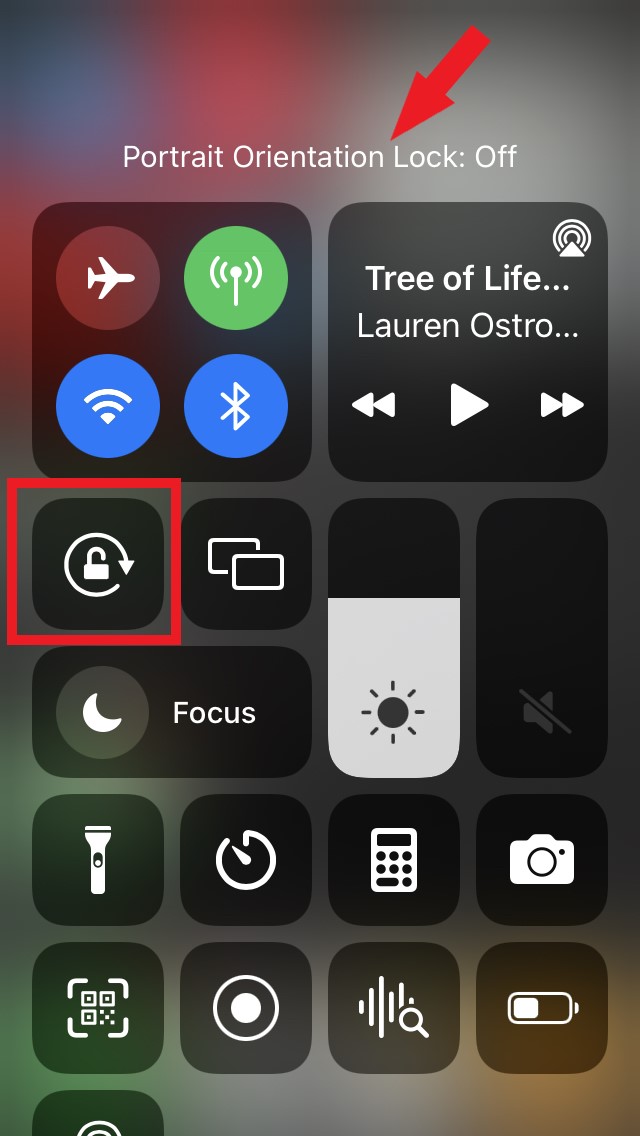 iOS-portrait-orientation