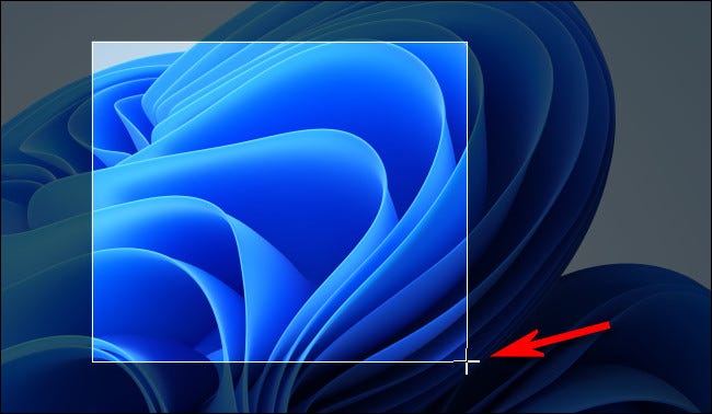 如何在 Windows 11 上截屏 如何在 Windows 11 上截屏