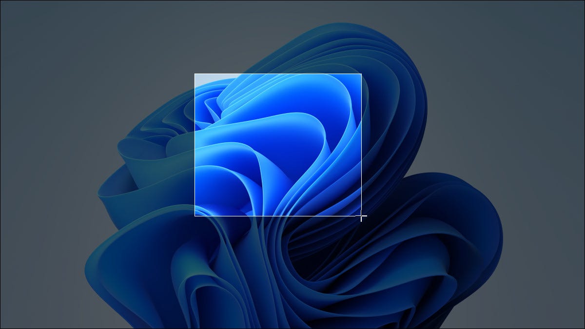 如何在 Windows 11 上截屏 如何在 Windows 11 上截屏