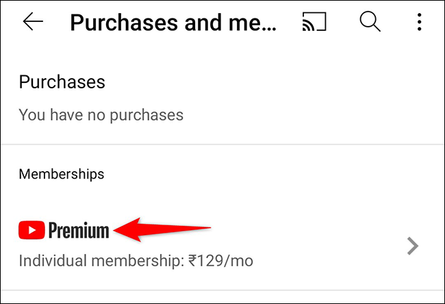 10-youtube-app-premium