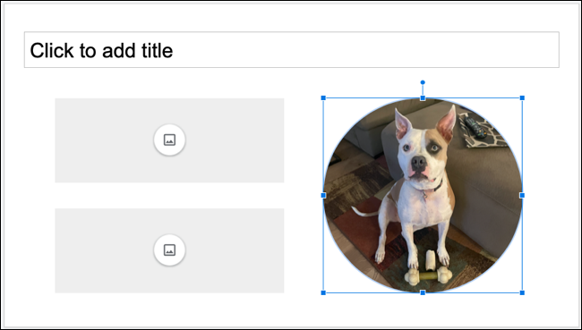 InsertedImage-GoogleSlidesImagePlaceholders