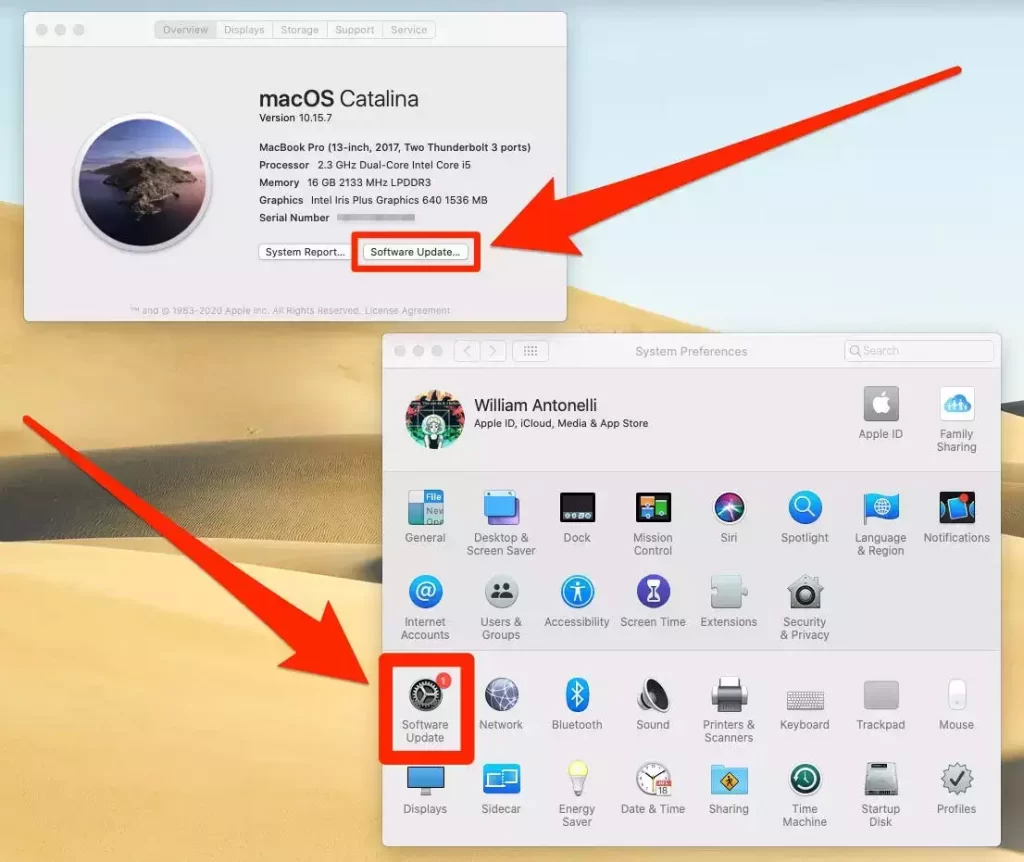 如何将您的 Mac 更新到新的 macOS Monterey 并获取最新功能和错误修复