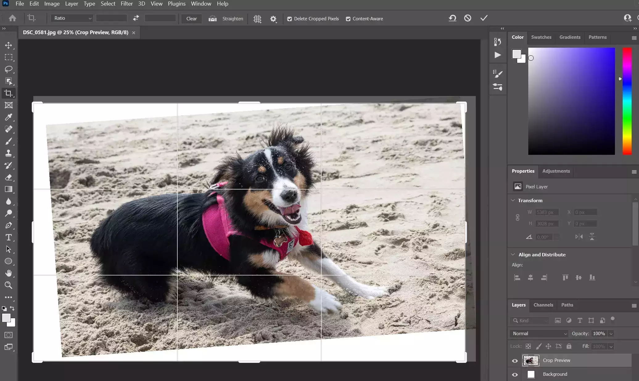 如何在 Photoshop 中裁剪或拉直图像 如何在 Photoshop 中裁剪或拉直图像